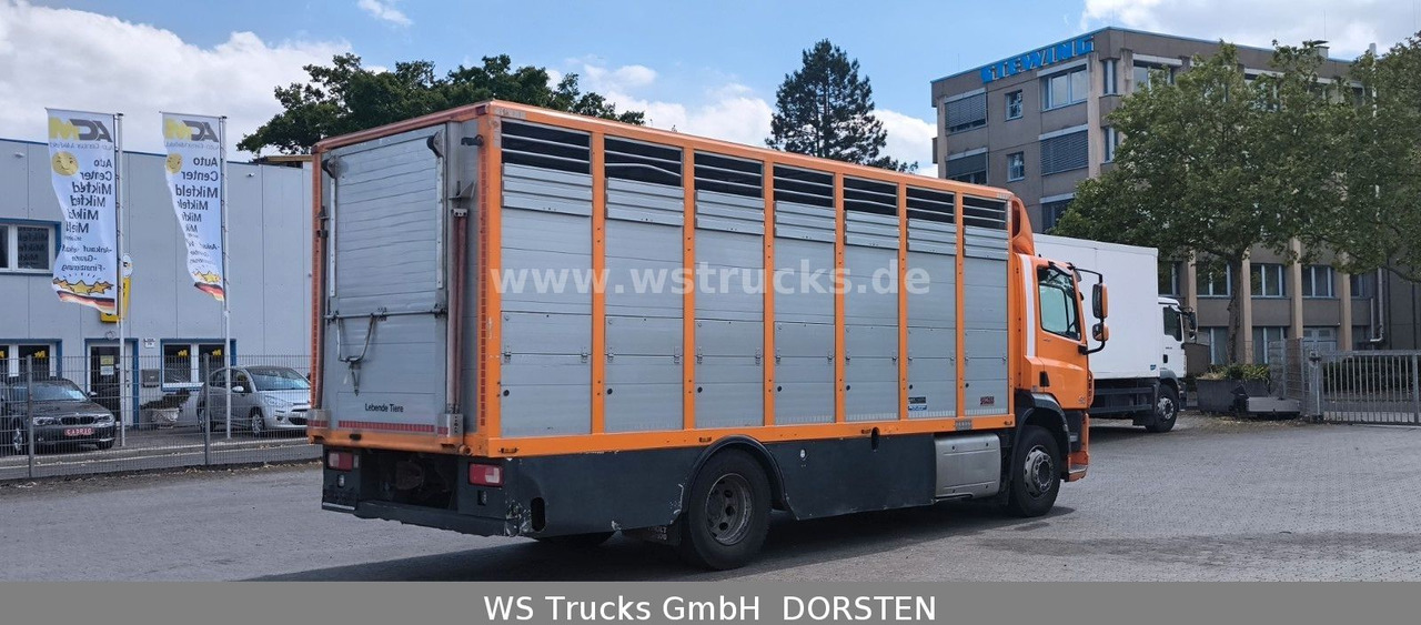 DAF CF 400 Menke Einstock Viehtransporter - Camião de transporte de cavalos: foto 5 DAF CF 400 Menke Einstock Viehtransporter - Camião de transporte de cavalos: foto 5
