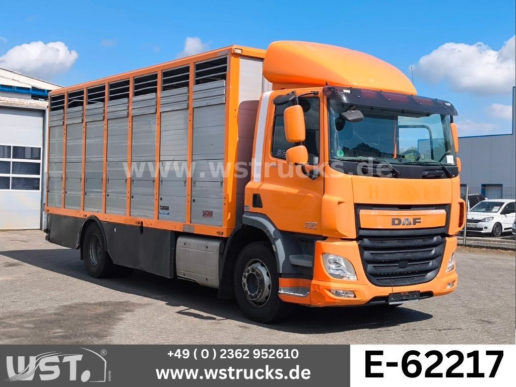 DAF CF 400 Menke Einstock Viehtransporter - Camião de transporte de cavalos: foto 1 DAF CF 400 Menke Einstock Viehtransporter - Camião de transporte de cavalos: foto 1