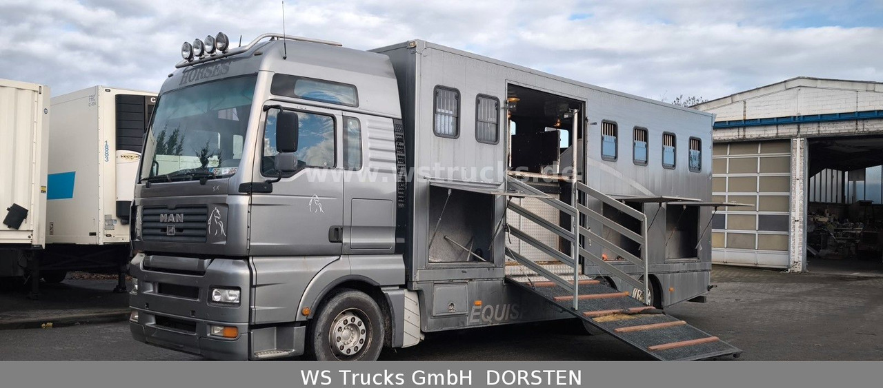 MAN TGA 26.480 FG 6x2 Pferdetransporter Luft/Luft - Camião de transporte de cavalos: foto 1 MAN TGA 26.480 FG 6x2 Pferdetransporter Luft/Luft - Camião de transporte de cavalos: foto 1
