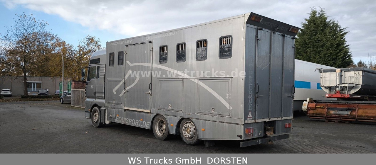 MAN TGA 26.480 FG 6x2 Pferdetransporter Luft/Luft - Camião de transporte de cavalos: foto 5 MAN TGA 26.480 FG 6x2 Pferdetransporter Luft/Luft - Camião de transporte de cavalos: foto 5