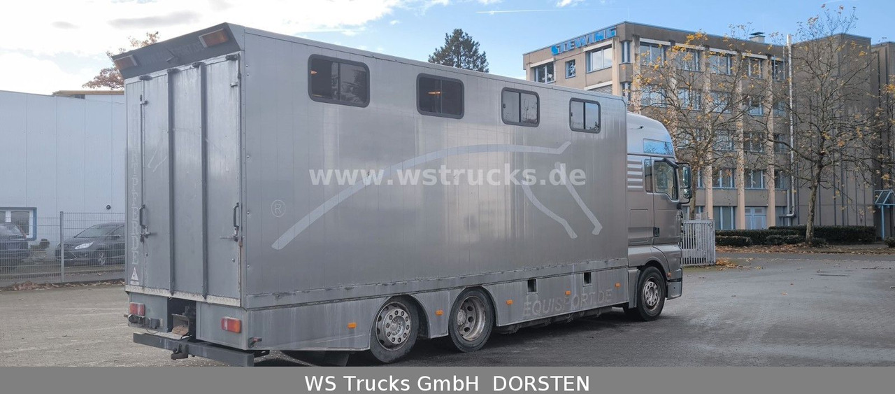 MAN TGA 26.480 FG 6x2 Pferdetransporter Luft/Luft - Camião de transporte de cavalos: foto 4 MAN TGA 26.480 FG 6x2 Pferdetransporter Luft/Luft - Camião de transporte de cavalos: foto 4