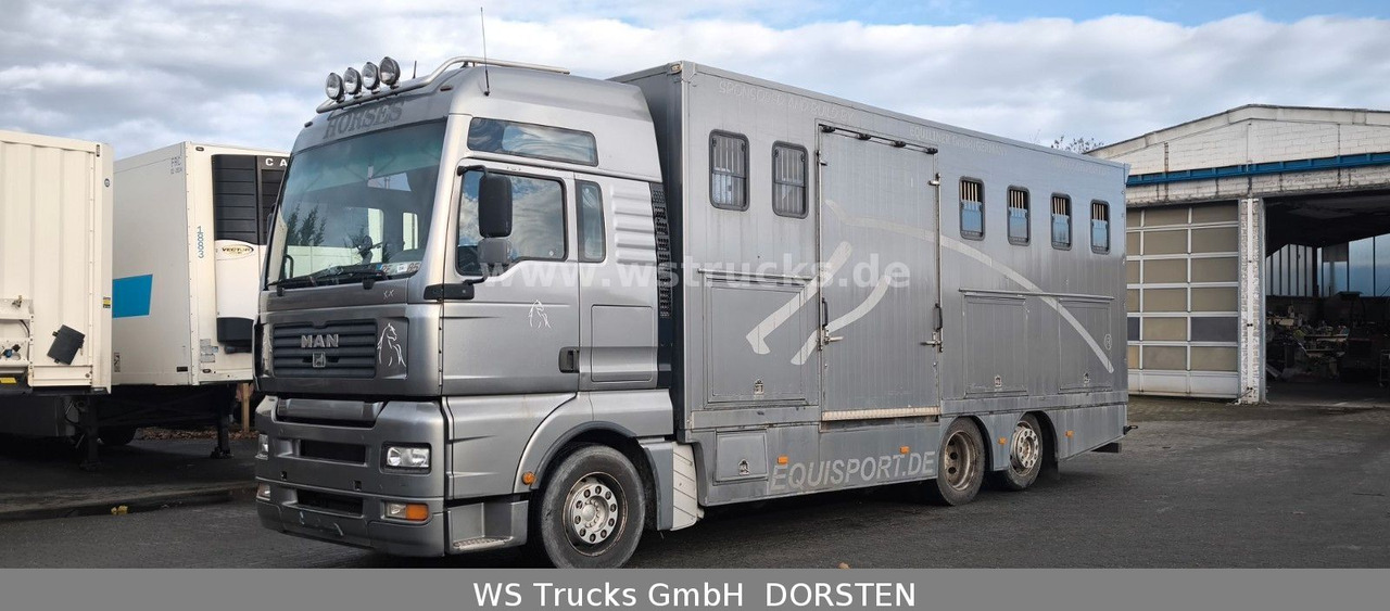MAN TGA 26.480 FG 6x2 Pferdetransporter Luft/Luft - Camião de transporte de cavalos: foto 2 MAN TGA 26.480 FG 6x2 Pferdetransporter Luft/Luft - Camião de transporte de cavalos: foto 2
