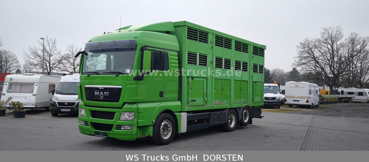 MAN TGX 26.480 XL KABA 3 Stock Vollalu - Camião de transporte de cavalos: foto 2 MAN TGX 26.480 XL KABA 3 Stock Vollalu - Camião de transporte de cavalos: foto 2