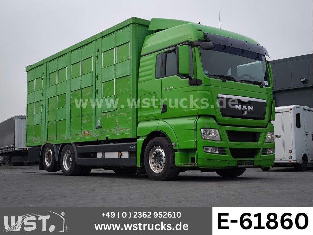 MAN TGX 26.480 XL KABA 3 Stock Vollalu - Camião de transporte de cavalos: foto 1 MAN TGX 26.480 XL KABA 3 Stock Vollalu - Camião de transporte de cavalos: foto 1