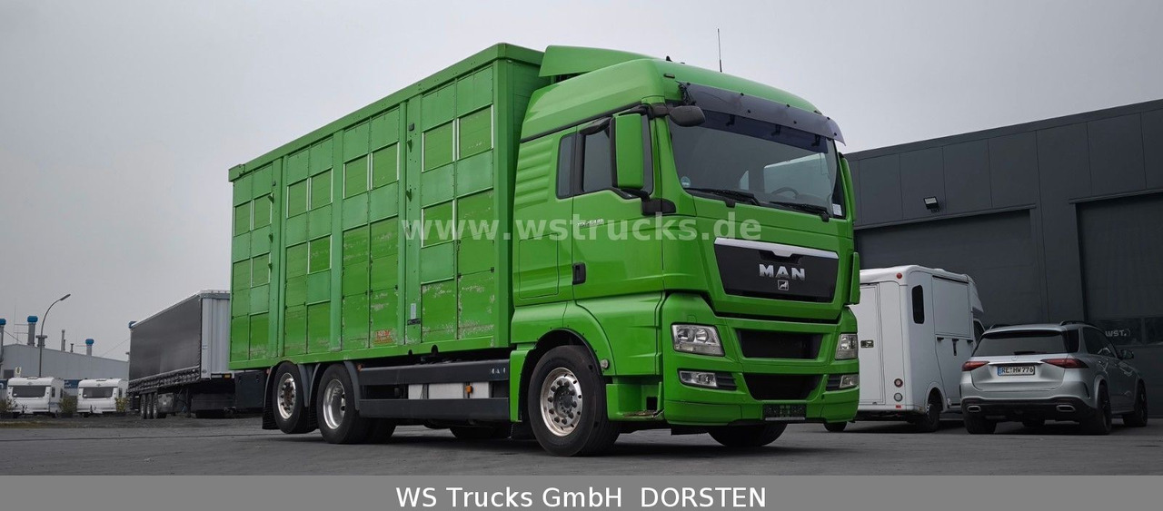 MAN TGX 26.480 XL KABA 3 Stock Vollalu - Camião de transporte de cavalos: foto 4 MAN TGX 26.480 XL KABA 3 Stock Vollalu - Camião de transporte de cavalos: foto 4