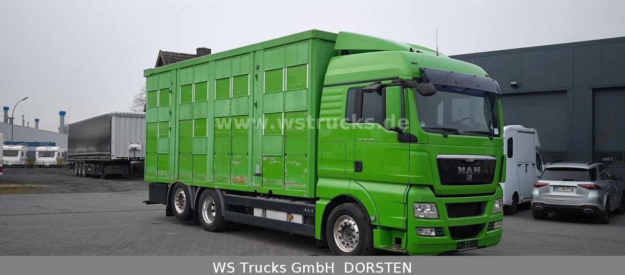MAN TGX 26.480 XL KABA 3 Stock Vollalu - Camião de transporte de cavalos: foto 3 MAN TGX 26.480 XL KABA 3 Stock Vollalu - Camião de transporte de cavalos: foto 3