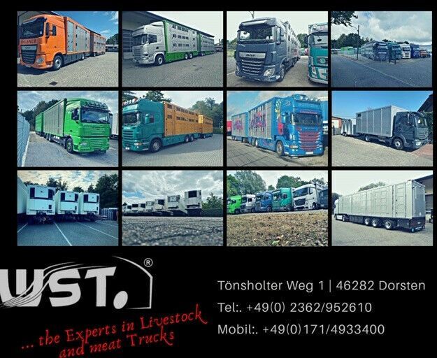 Menke-Janzen Menke 3 Stock Ausahrbares Dach Vollalu Typ 2 - Reboque transporte de gado: foto 4 Menke-Janzen Menke 3 Stock Ausahrbares Dach Vollalu Typ 2 - Reboque transporte de gado: foto 4