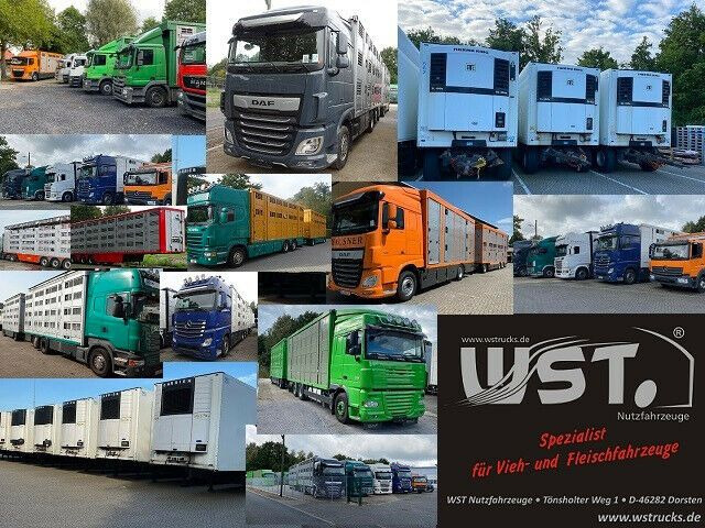 Camião frigorífico Mercedes-Benz Atego 1222  Kiesling Thermoking T800R: foto 20