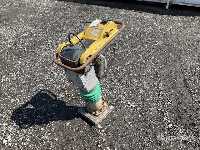 2017 Wacker Neuson BS60-2 Jumping Jack Tamper - Compactadora de percussão: foto 1 2017 Wacker Neuson BS60-2 Jumping Jack Tamper - Compactadora de percussão: foto 1