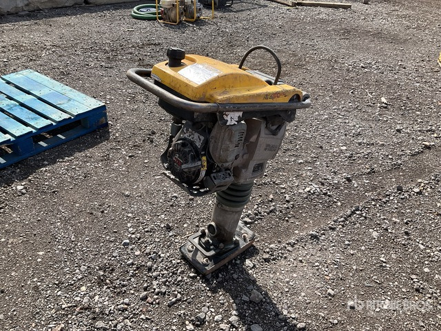 2018 Wacker Neuson BS50-4AS Jumping Jack Tamper - Compactadora de percussão: foto 4 2018 Wacker Neuson BS50-4AS Jumping Jack Tamper - Compactadora de percussão: foto 4