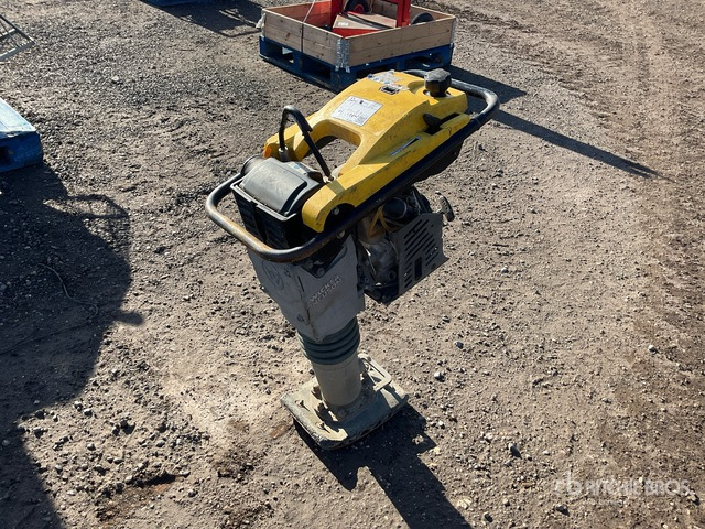2019 Wacker Neuson Rammer BS50-4AS Vibratory Plate Compactor Jumping Jack Tamper - Compactadora de percussão: foto 2 2019 Wacker Neuson Rammer BS50-4AS Vibratory Plate Compactor Jumping Jack Tamper - Compactadora de percussão: foto 2