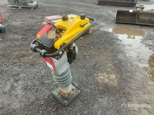 2020 Wacker Neuson BS50-2plus Demolition Breaker Jumping Jack Tamper - Compactadora de percussão: foto 1 2020 Wacker Neuson BS50-2plus Demolition Breaker Jumping Jack Tamper - Compactadora de percussão: foto 1
