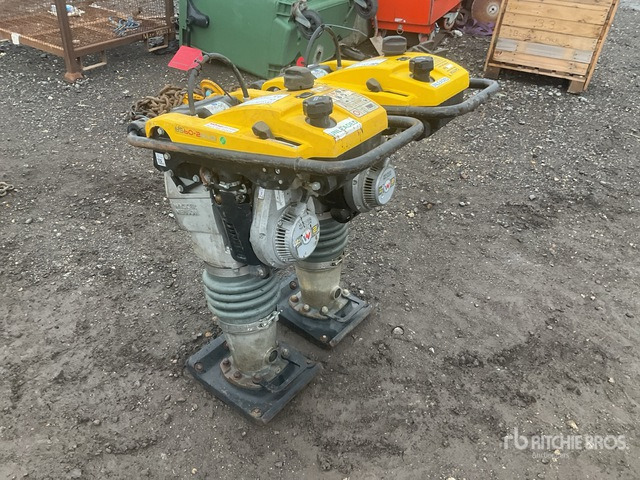 2020 Wacker Neuson BS50-2plus Jumping Jack Tamper Jumping Jack Tamper - Compactadora de percussão: foto 3 2020 Wacker Neuson BS50-2plus Jumping Jack Tamper Jumping Jack Tamper - Compactadora de percussão: foto 3