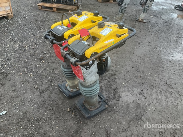 2020 Wacker Neuson BS50-2plus Jumping Jack Tamper Jumping Jack Tamper - Compactadora de percussão: foto 2 2020 Wacker Neuson BS50-2plus Jumping Jack Tamper Jumping Jack Tamper - Compactadora de percussão: foto 2