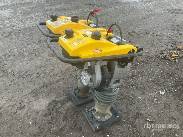 2020 Wacker Neuson BS50-2plus Jumping Jack Tamper Jumping Jack Tamper - Compactadora de percussão: foto 4 2020 Wacker Neuson BS50-2plus Jumping Jack Tamper Jumping Jack Tamper - Compactadora de percussão: foto 4