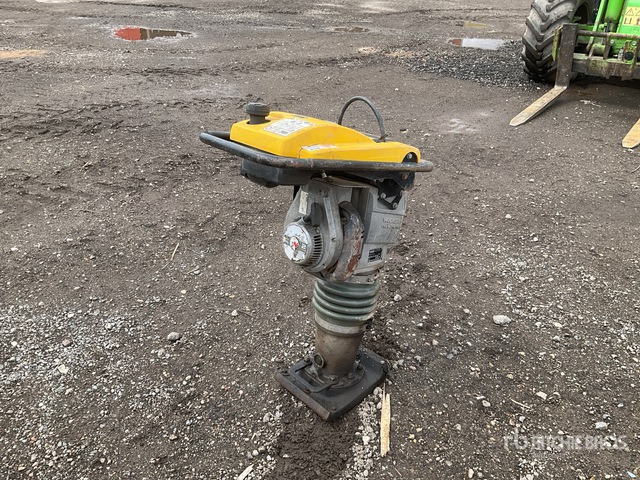 2021 Wacker Neuson BS60-2 Jumping Jack Tamper - Compactadora de percussão: foto 4 2021 Wacker Neuson BS60-2 Jumping Jack Tamper - Compactadora de percussão: foto 4