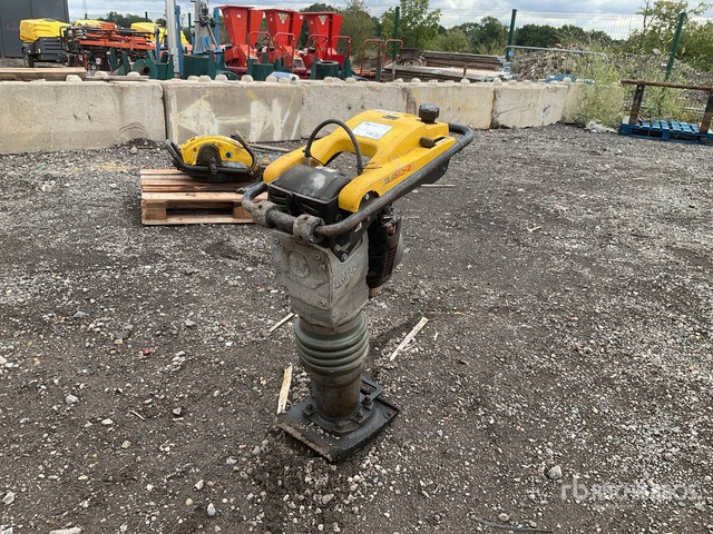 Compactadora de percussão 2021 Wacker Neuson BS60-2I Jumping Jack Tamper: foto 1