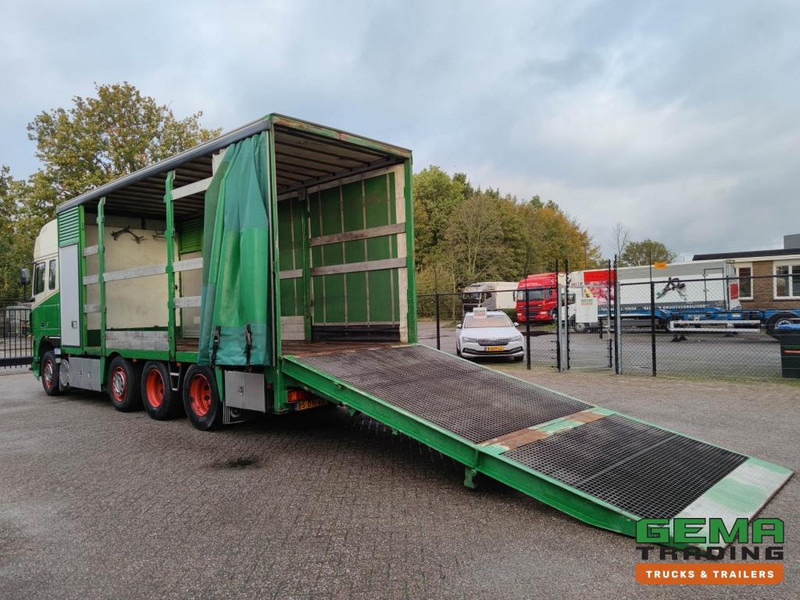DAF FAK XF95.430 8x2 SuperSpaceCab Euro3 - CurtainSider 7.31m + Ramp 16T - MachineTransporter - 6 Persons (V558) - Camião transporte de veículos: foto 2 DAF FAK XF95.430 8x2 SuperSpaceCab Euro3 - CurtainSider 7.31m + Ramp 16T - MachineTransporter - 6 Persons (V558) - Camião transporte de veículos: foto 2