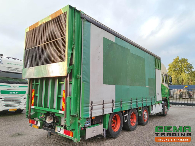 DAF FAK XF95.430 8x2 SuperSpaceCab Euro3 - CurtainSider 7.31m + Ramp 16T - MachineTransporter - 6 Persons (V558) - Camião transporte de veículos: foto 4 DAF FAK XF95.430 8x2 SuperSpaceCab Euro3 - CurtainSider 7.31m + Ramp 16T - MachineTransporter - 6 Persons (V558) - Camião transporte de veículos: foto 4