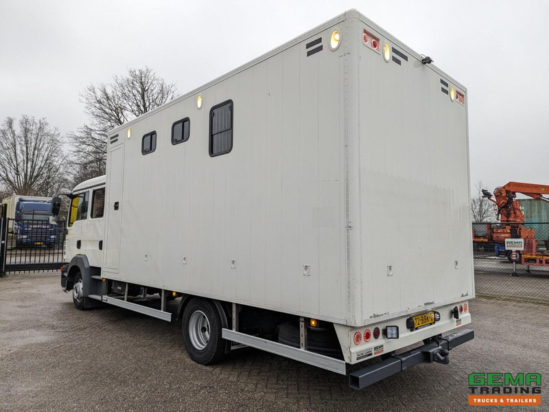 MAN TGL 12.180 4x2 DoKa 7 pers. Euro5 EEV - Paardenwagen 2-Paards - 147.000km! - MARGE - Camião de transporte de cavalos: foto 4 MAN TGL 12.180 4x2 DoKa 7 pers. Euro5 EEV - Paardenwagen 2-Paards - 147.000km! - MARGE - Camião de transporte de cavalos: foto 4