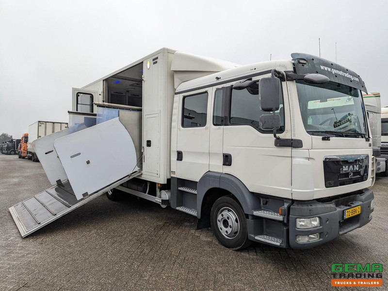 MAN TGL 12.180 4x2 DoKa 7 pers. Euro5 EEV - Paardenwagen 2-Paards - 147.000km! - MARGE - Camião de transporte de cavalos: foto 1 MAN TGL 12.180 4x2 DoKa 7 pers. Euro5 EEV - Paardenwagen 2-Paards - 147.000km! - MARGE - Camião de transporte de cavalos: foto 1