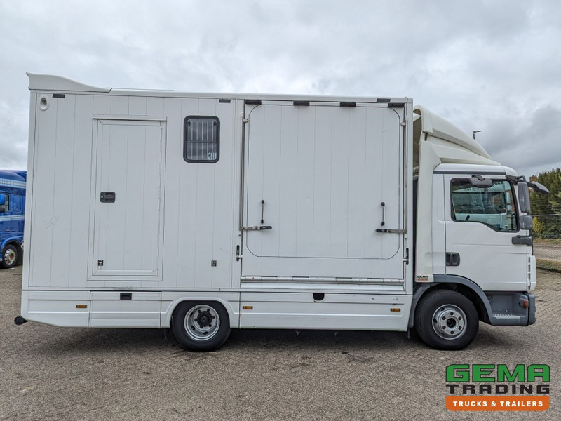 Leasing de MAN TGL 12.250 4x2 Euro5 EEV RC HorseTruck - 2a3 Paards - 135.000km - MARGE (V821) MAN TGL 12.250 4x2 Euro5 EEV RC HorseTruck - 2a3 Paards - 135.000km - MARGE (V821): foto 18