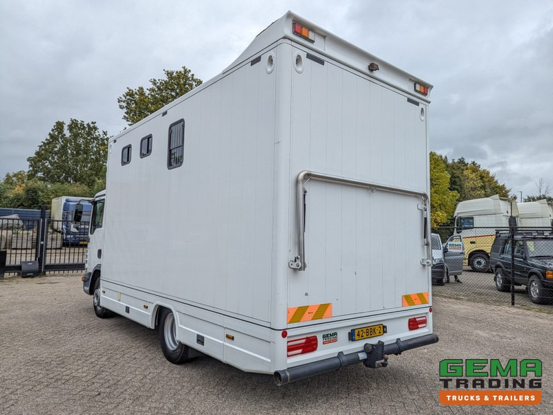 MAN TGL 12.250 4x2 Euro5 EEV RC HorseTruck - 2a3 Paards - 135.000km - MARGE (V821) - Camião de transporte de cavalos: foto 4 MAN TGL 12.250 4x2 Euro5 EEV RC HorseTruck - 2a3 Paards - 135.000km - MARGE (V821) - Camião de transporte de cavalos: foto 4