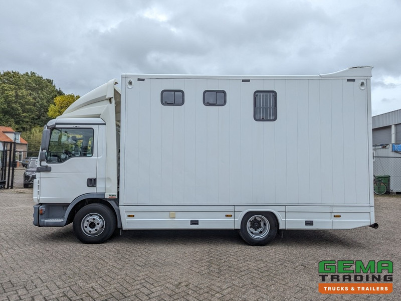 Leasing de MAN TGL 12.250 4x2 Euro5 EEV RC HorseTruck - 2a3 Paards - 135.000km - MARGE (V821) MAN TGL 12.250 4x2 Euro5 EEV RC HorseTruck - 2a3 Paards - 135.000km - MARGE (V821): foto 17