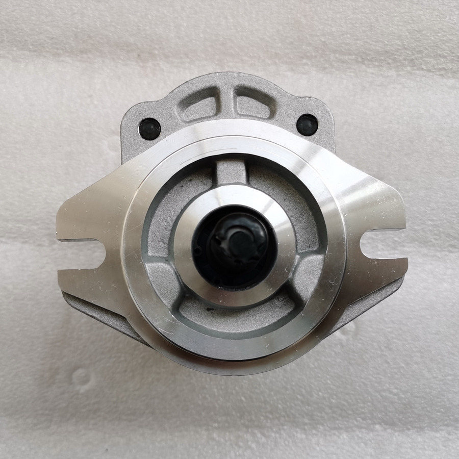 QINGDAO PROMISING Hydraulic Pump CBWA-F314-AL5Φ9 - Bomba hidráulica por Pá carregadora de rodas: foto 3 QINGDAO PROMISING Hydraulic Pump CBWA-F314-AL5Φ9 - Bomba hidráulica por Pá carregadora de rodas: foto 3