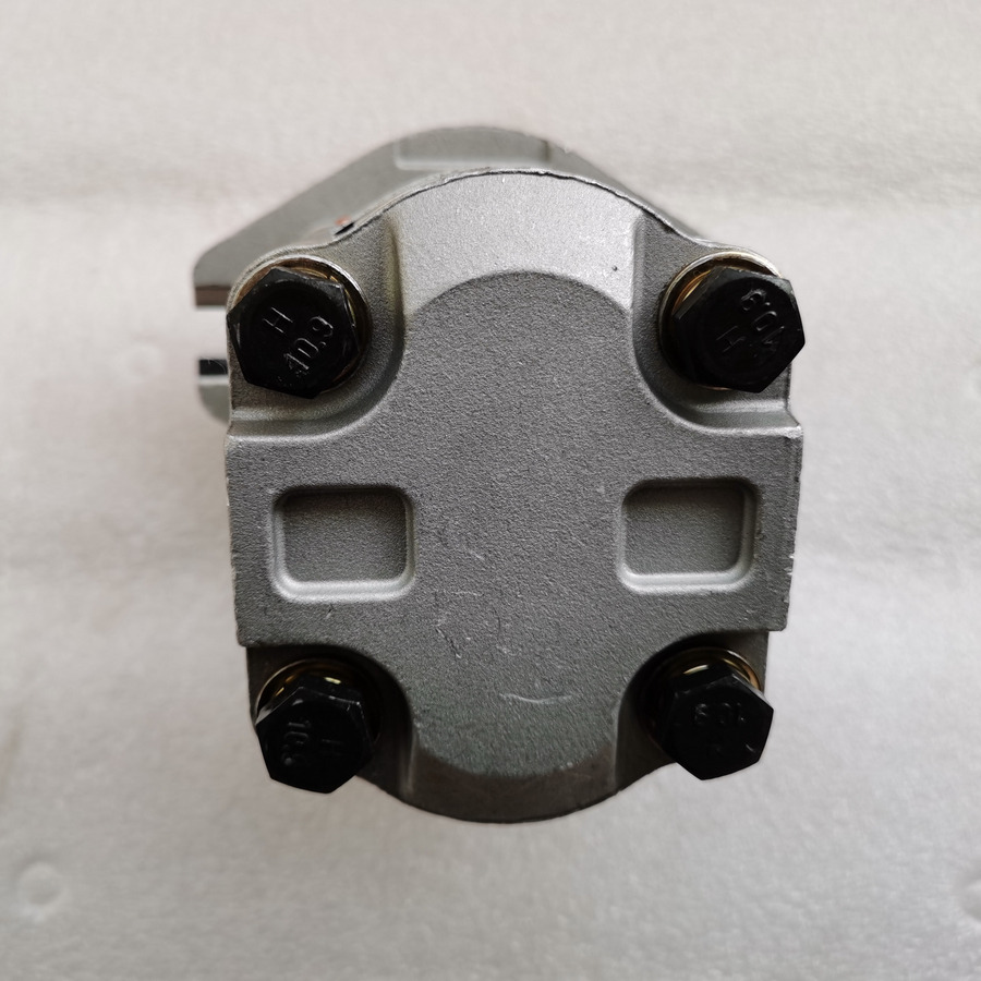 Bomba hidráulica por Pá carregadora de rodas novo QINGDAO PROMISING Hydraulic Pump CBWA-F318-AT4Φ9: foto 6