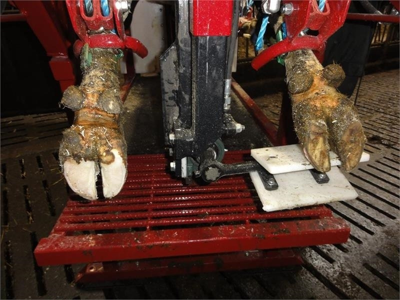 Pomi Std1 Fabriksny - Equipamento de gado: foto 4 Pomi Std1 Fabriksny - Equipamento de gado: foto 4