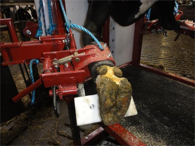 Pomi Std1 Fabriksny - Equipamento de gado: foto 3 Pomi Std1 Fabriksny - Equipamento de gado: foto 3