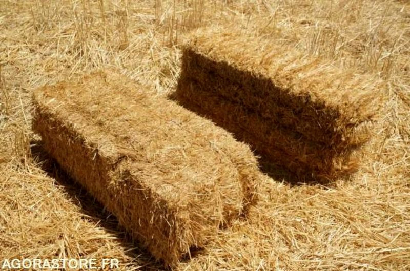 700 Bottes de paille de blé année 2025 - Equipamentos para jardinagem: foto 1 700 Bottes de paille de blé année 2025 - Equipamentos para jardinagem: foto 1