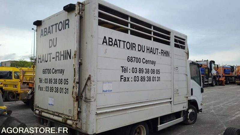 Bétaillère abattoir ISUZU - 2008 - Camião transporte de gado: foto 3 Bétaillère abattoir ISUZU - 2008 - Camião transporte de gado: foto 3