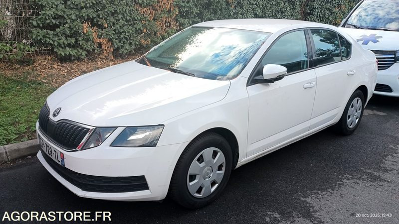 EP-729-TL - Non Roulant - SKODA OCTAVIA - VP -  349 390 Kms - Automóvel: foto 1 EP-729-TL - Non Roulant - SKODA OCTAVIA - VP -  349 390 Kms - Automóvel: foto 1