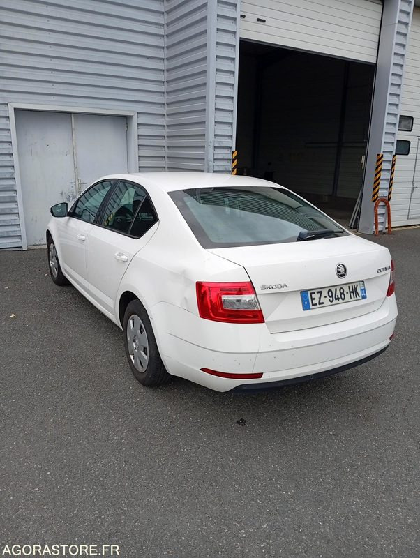 EZ-948-HK - Roulant - SKODA OCTAVIA - VP - 431 000 Kms - Automóvel: foto 4 EZ-948-HK - Roulant - SKODA OCTAVIA - VP - 431 000 Kms - Automóvel: foto 4