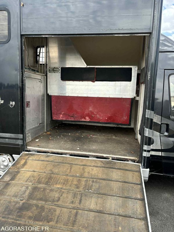 Fourgon FORD - Transport de 2 Chevaux - 2004 - 137 510 KM - Furgão: foto 3 Fourgon FORD - Transport de 2 Chevaux - 2004 - 137 510 KM - Furgão: foto 3