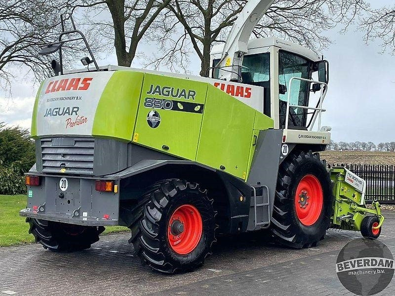 Claas Jaguar 830 492 - Picadora de forragem automotriz: foto 4 Claas Jaguar 830 492 - Picadora de forragem automotriz: foto 4