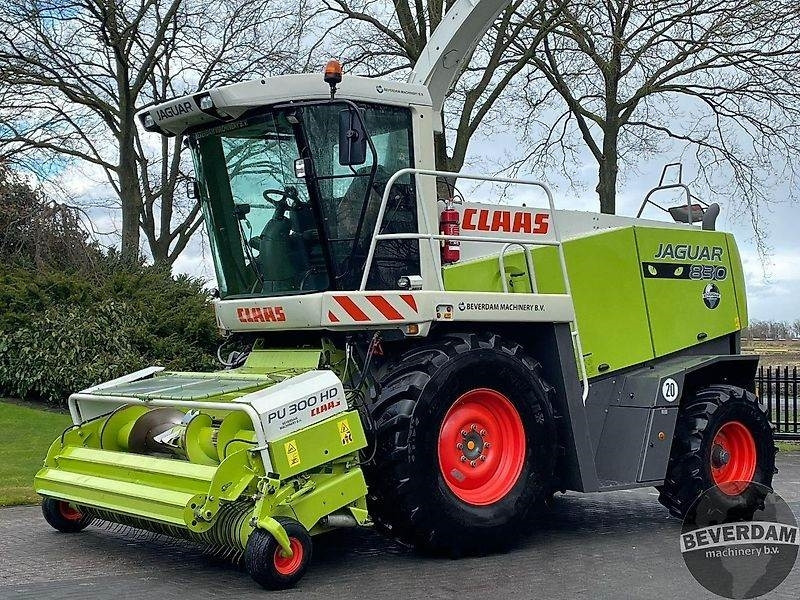 Claas Jaguar 830 492 - Picadora de forragem automotriz: foto 1 Claas Jaguar 830 492 - Picadora de forragem automotriz: foto 1