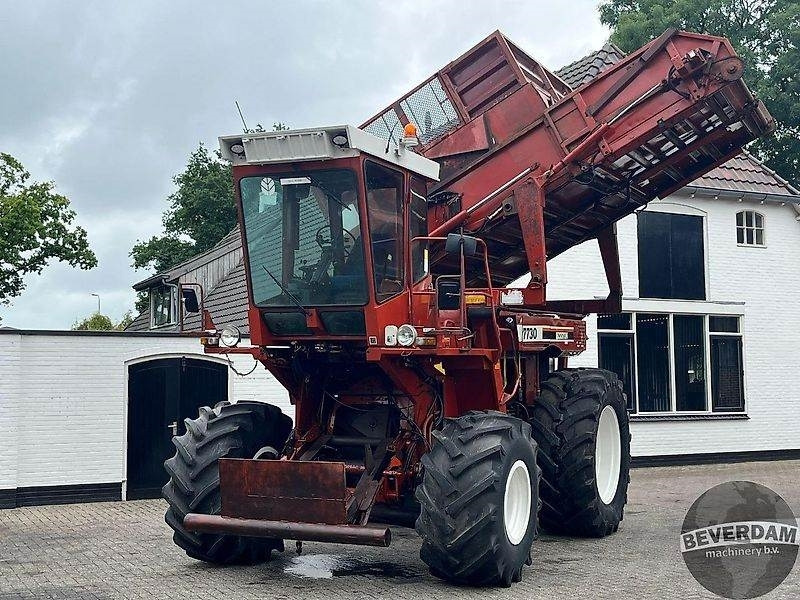 Hesston 7730 - Picadora de forragem automotriz: foto 2 Hesston 7730 - Picadora de forragem automotriz: foto 2