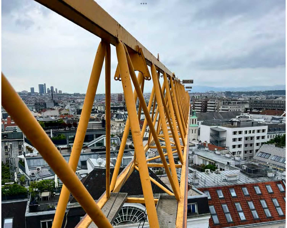 Guindaste de torre Liebherr 110 EC-B 6 FR.tronic: foto 10
