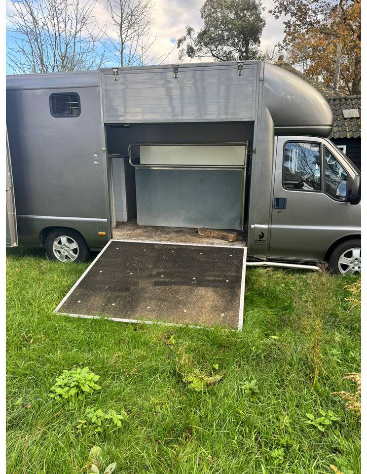 1999 FIAT DUCATO MAXI 18 2.8 ID 598-140 HORSE TRUCK - Veículo comercial: foto 2 1999 FIAT DUCATO MAXI 18 2.8 ID 598-140 HORSE TRUCK - Veículo comercial: foto 2