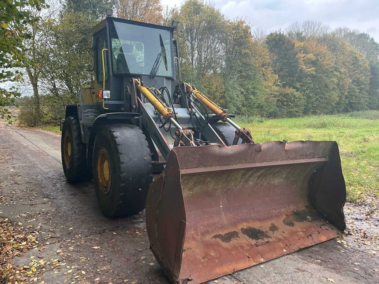 Werklust WG18C - Pá carregadora de rodas: foto 3 Werklust WG18C - Pá carregadora de rodas: foto 3