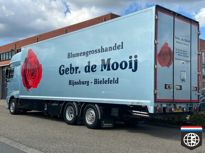 DAF XF 460 FAN TRS ICELAND / SMART TACHO 2 /FLOWERS / RACE / HORSE - Camião frigorífico: foto 4 DAF XF 460 FAN TRS ICELAND / SMART TACHO 2 /FLOWERS / RACE / HORSE - Camião frigorífico: foto 4