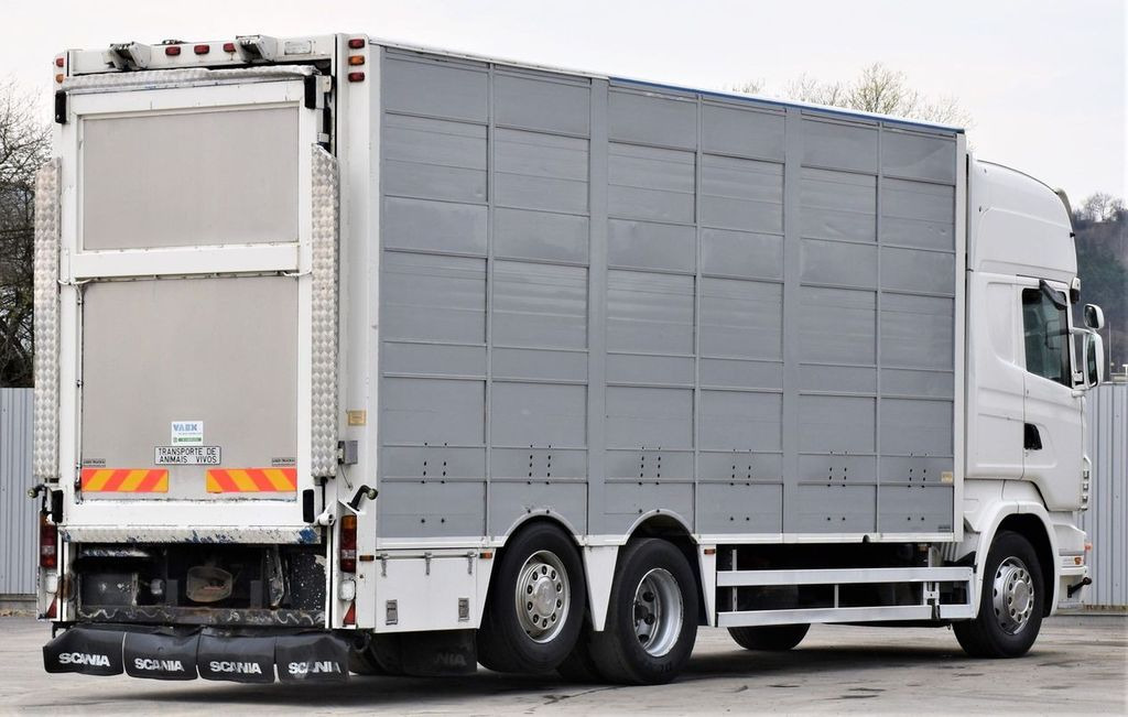 Scania R 500 TIERTRANSPORTWAGEN 7,10m / 4STOCK Scania R 500 TIERTRANSPORTWAGEN 7,10m / 4STOCK - Camião transporte de gado: foto 5 Scania R 500 TIERTRANSPORTWAGEN 7,10m / 4STOCK Scania R 500 TIERTRANSPORTWAGEN 7,10m / 4STOCK - Camião transporte de gado: foto 5