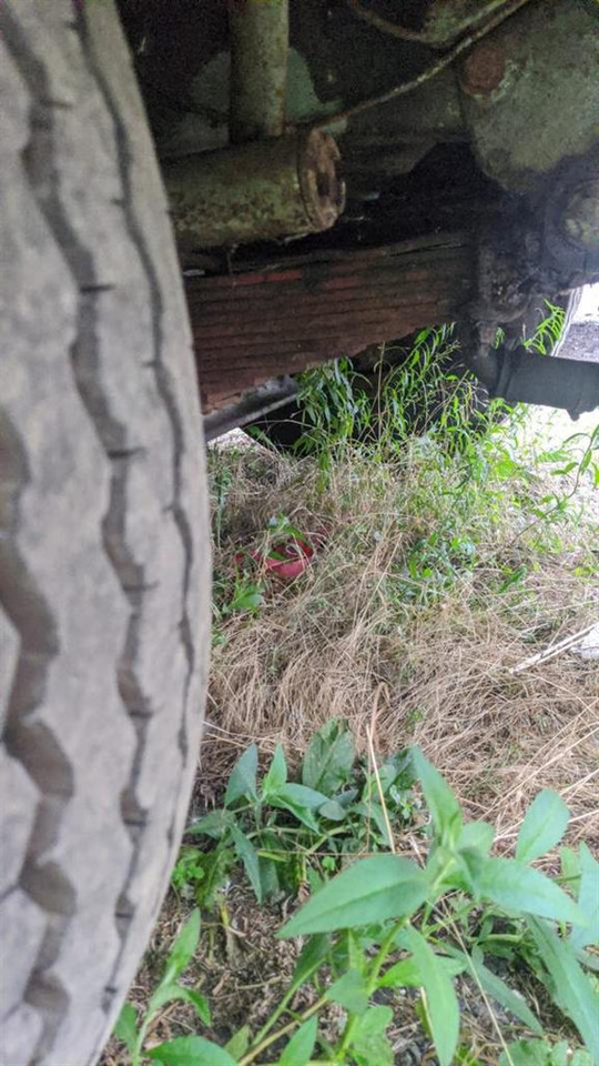 Ônibus panorâmico 1949 Guy Arab back loader, half cab double decker: foto 17 Ônibus panorâmico 1949 Guy Arab back loader, half cab double decker: foto 17