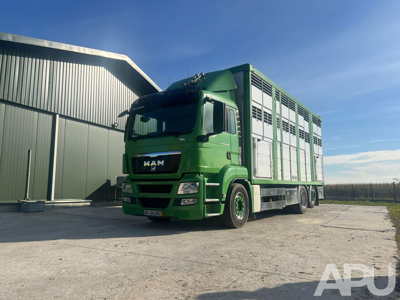 MAN TGS 26.440 DO PRZEWOZU BYDŁA - Camião transporte de gado: foto 1 MAN TGS 26.440 DO PRZEWOZU BYDŁA - Camião transporte de gado: foto 1