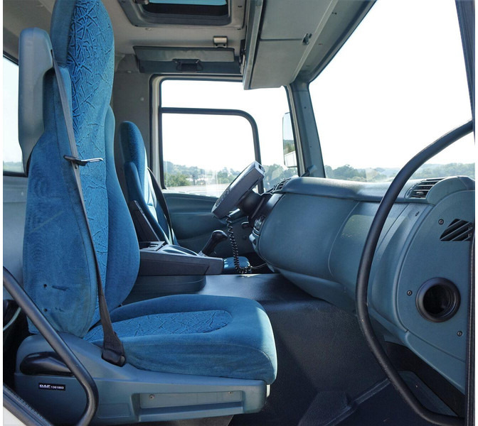 Camião de caixa aberta/ Plataforma, Camião grua DAF CF 75.310: foto 10