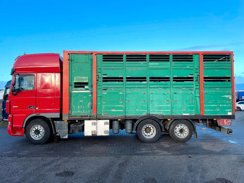 DAF XF 105.460 2-Stock Finkl Viehaufbau / Lenkachs - Camião transporte de gado: foto 5 DAF XF 105.460 2-Stock Finkl Viehaufbau / Lenkachs - Camião transporte de gado: foto 5