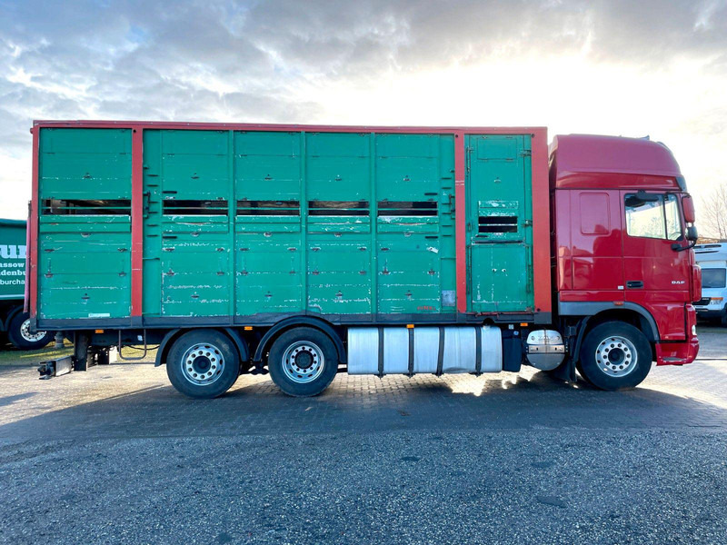 DAF XF 105.460 2-Stock Finkl Viehaufbau / Lenkachs - Camião transporte de gado: foto 4 DAF XF 105.460 2-Stock Finkl Viehaufbau / Lenkachs - Camião transporte de gado: foto 4